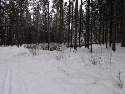 20210119_125440.jpg
