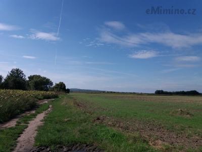 20200904_145929.jpg