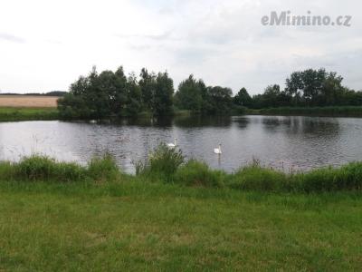 20200811_175727.jpg