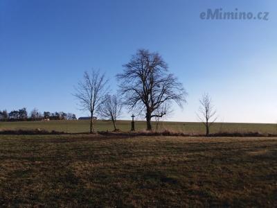 20201231_135214.jpg