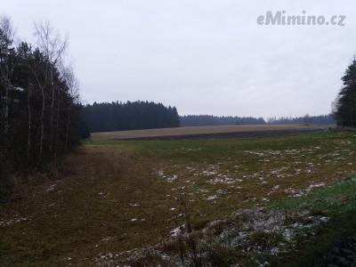 20201122_144745.jpg