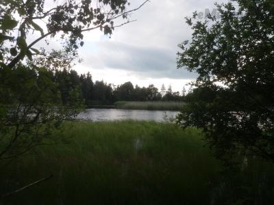 20200703_173425.jpg