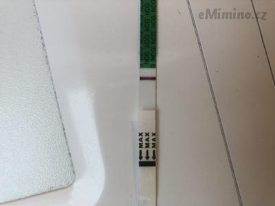 F8399602-44D4-43DA-B12D-A3ACBD3E9055.jpeg