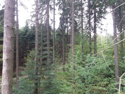 20200802_093135.jpg
