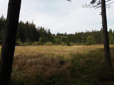 20201003_131251.jpg