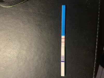 8B6BC7F5-3667-4D0B-B844-166BE601C522.jpeg