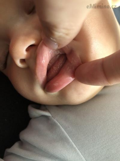 FBD75896-D3AD-4359-9E70-0C72F99A7E04.jpeg