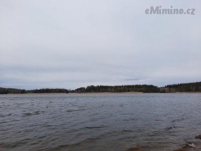 20210405_133428.jpg