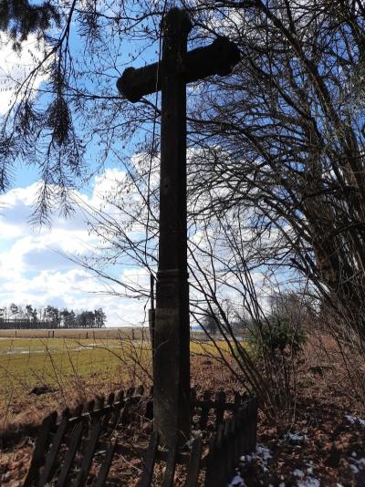 20210306_120353.jpg