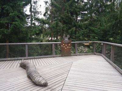 20200802_093322.jpg