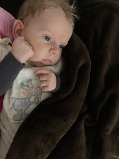 8ADCD630-5C00-49AD-B035-D6B8739E9935.jpeg