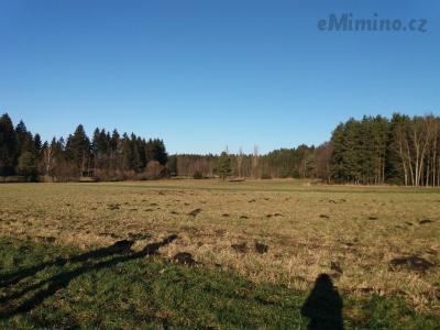 20201231_133254.jpg