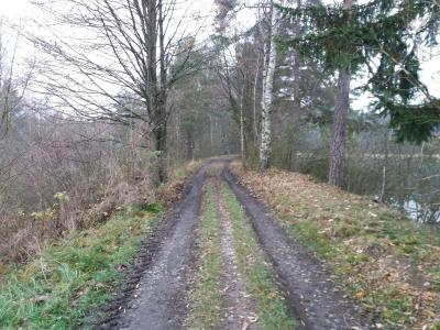 20201122_144514.jpg