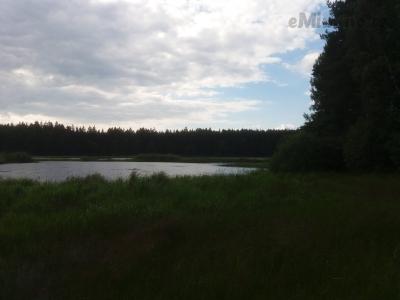 20200703_173245.jpg