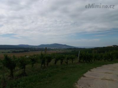 20200904_133237.jpg