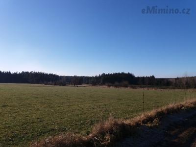 20201231_132909.jpg
