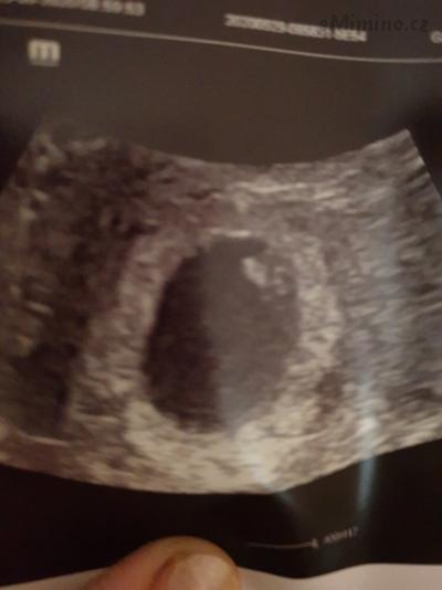 20200929_100257.jpg