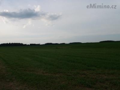 20200811_180823.jpg