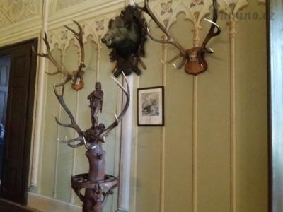 20200904_120413.jpg