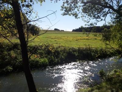 20201004_144520.jpg