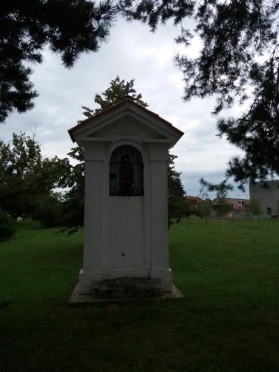 20200904_111059.jpg