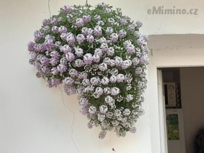 20200924_170748.jpg