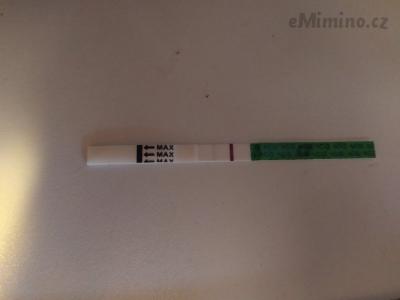 IMG_20201019_084312.jpg