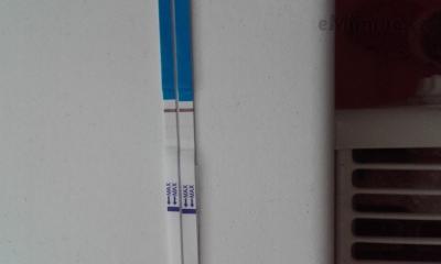 20201027_123247.jpg