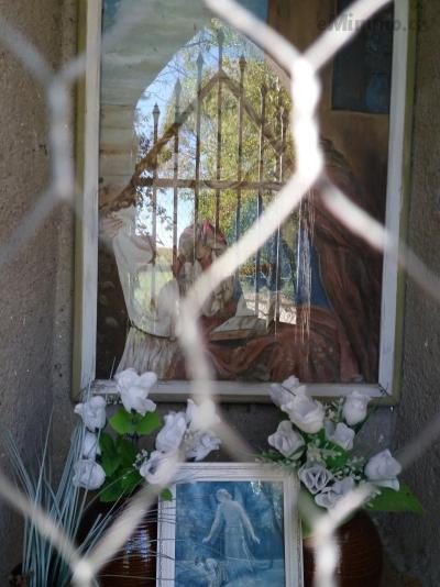 20201004_144612.jpg