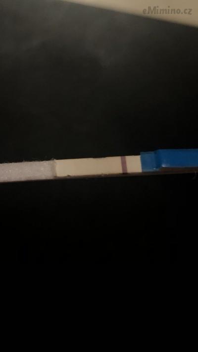 01807CF2-3C2F-4D93-8ADF-0124DD4EFFF1.png