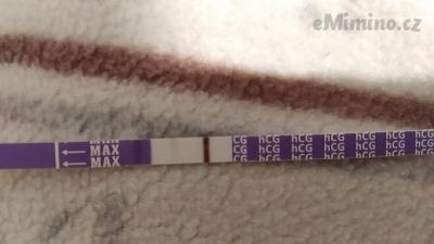 IMG_20201101_130446.jpg
