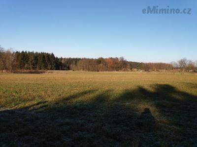 20201231_132641.jpg