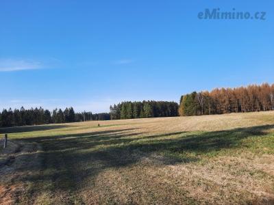 20210331_165516.jpg