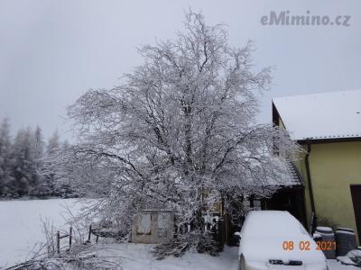DSC01212.JPG