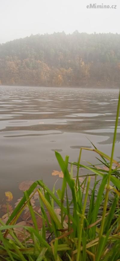 IMG_20201107_131622_1.jpg