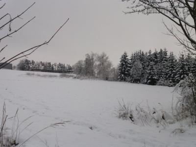 20210109_142923.jpg
