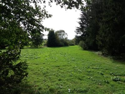 20201003_125806.jpg