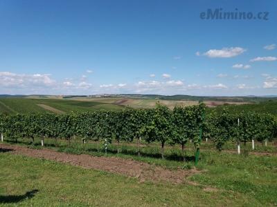 20200903_133205.jpg