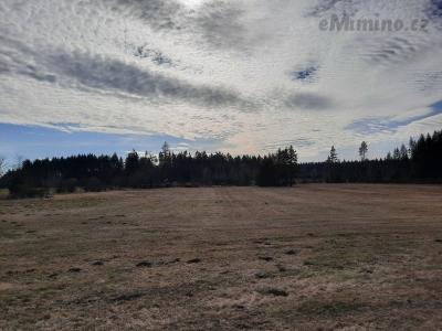 20210330_155128.jpg