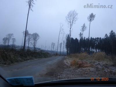 DSC00816.JPG