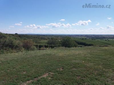 20200903_133742.jpg
