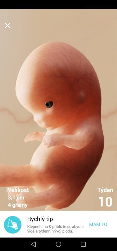 Screenshot_20200908_083433_com.hp.pregnancy.lite.jpg