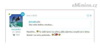 Delfín s družkou.jpg