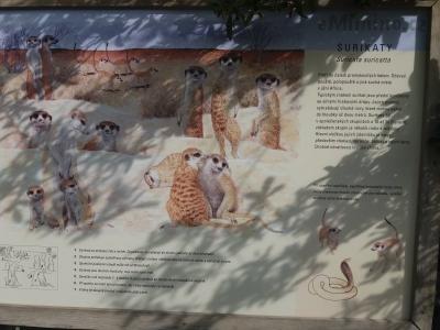 20200919_101631.jpg