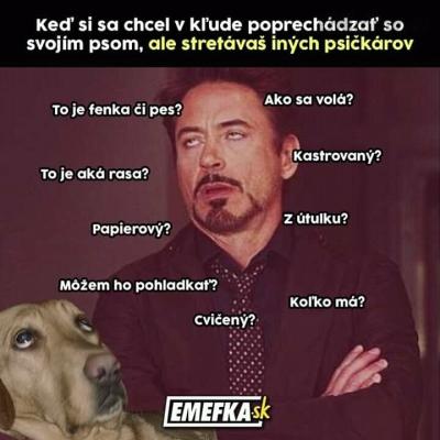 FB_IMG_16006286953408259.jpg