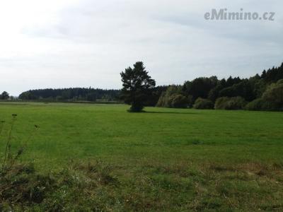 20201003_125535.jpg