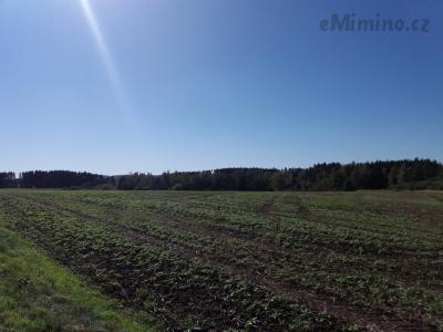 20201004_133350.jpg