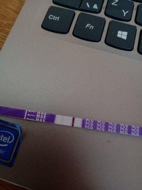103962048_263599324953979_6546624627799101361_n.jpg
