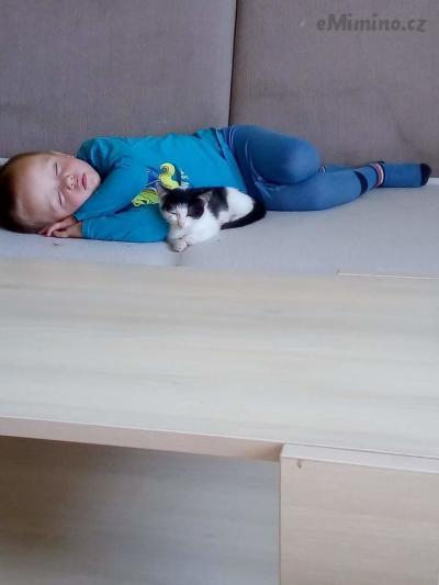 FB_IMG_1603098543912.jpg