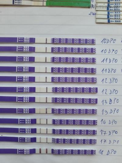 20201229_105954.jpg